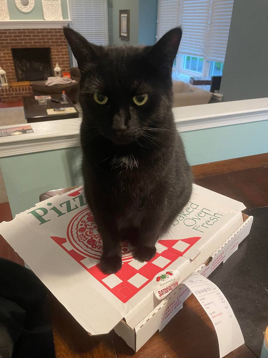 pizza protector