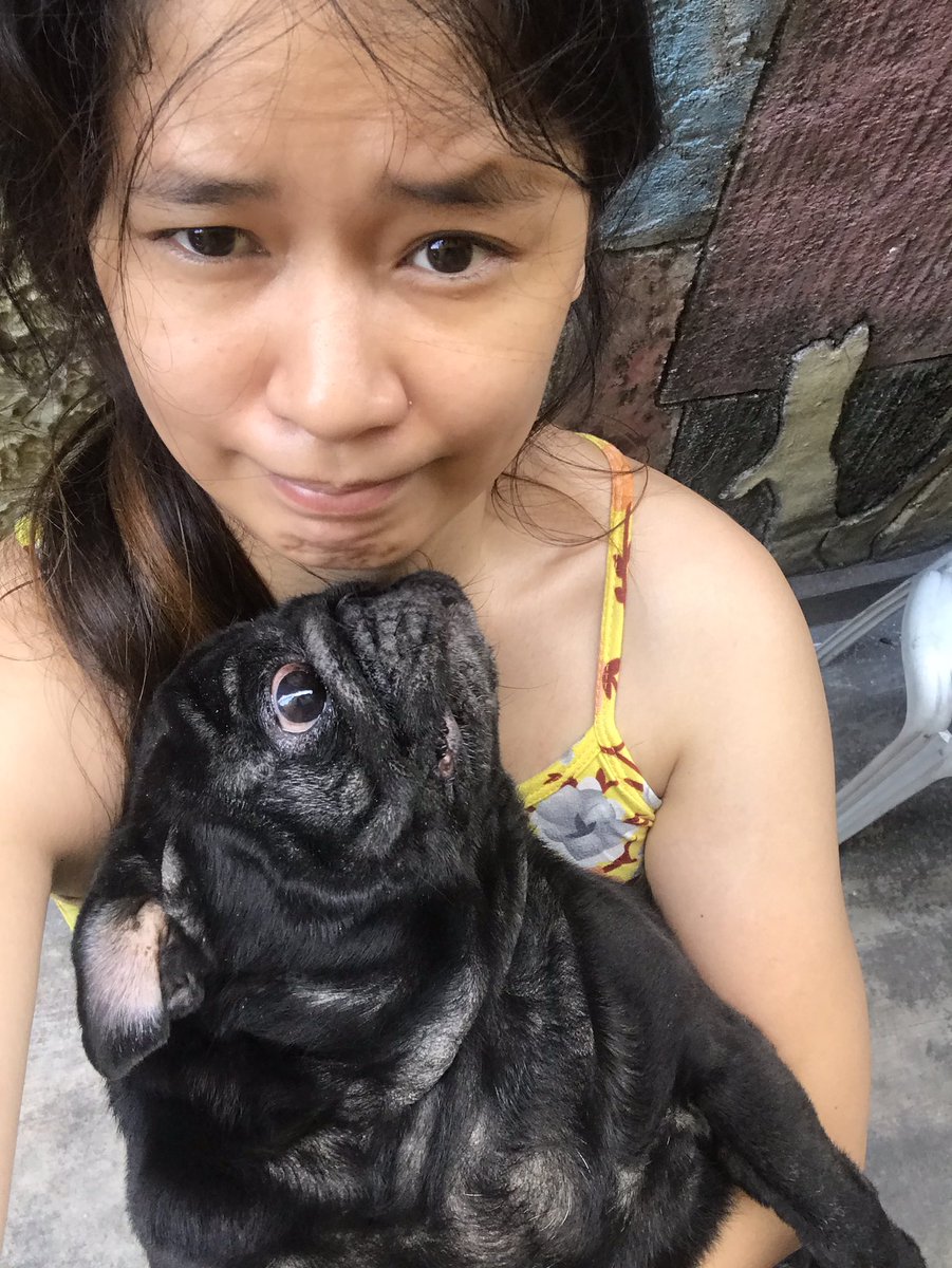amainebaboy's tweet photo. Run free Lucas 😭😭😭 #furbaby #lucasthepug https://t.co/tk5QxvGIzH