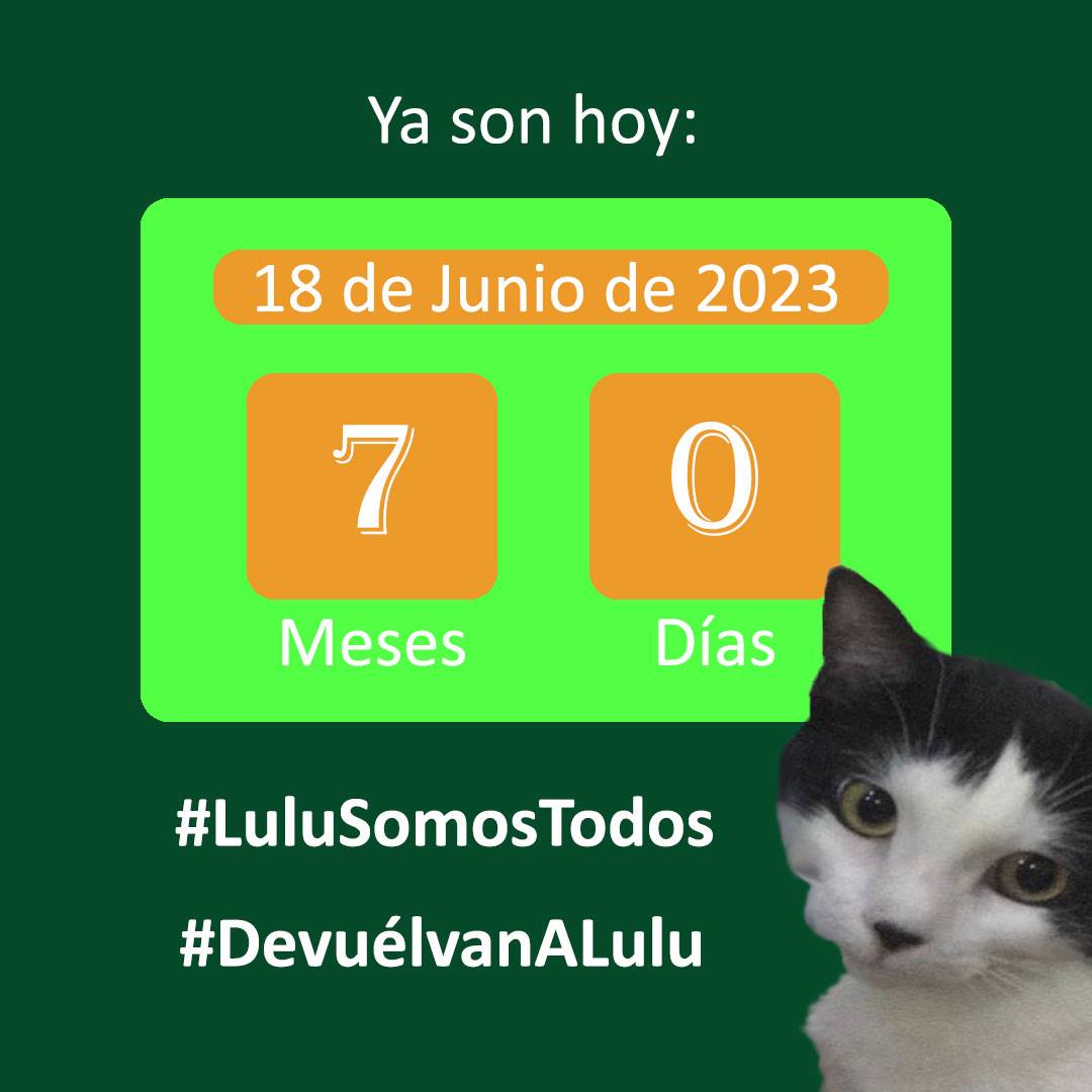Gracilaria235's tweet photo. #18Jun. 7 meses sin #Lulu. Y ellos podrán dormir en paz??? #IsolinaRamirez ¿Hasta cuándo? #CarolinaCorona no nos caigas a embuste. La verdad la tendrán que decir Algún día. ¿Qué hicieron con #LuluSomosTodos $#DevuélvanALulu #Difunde #LuluEsDeTodos https://t.co/XwZ8pyPGJt