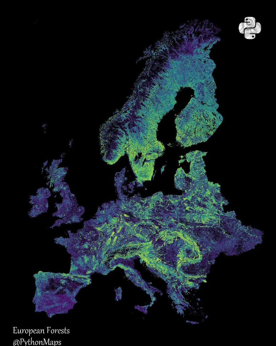 GeographyId tweet media