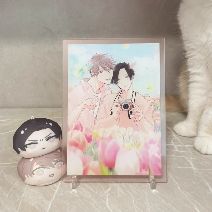 アニメイトブックフェアの景品サンプルを頂きました!ピンクの透ける枠をつけたらかわいいんじゃないかと思ってつけたら大正解でしためちゃくちゃかわいい〜 #鬼上司・獄寺さんは暴かれたい。