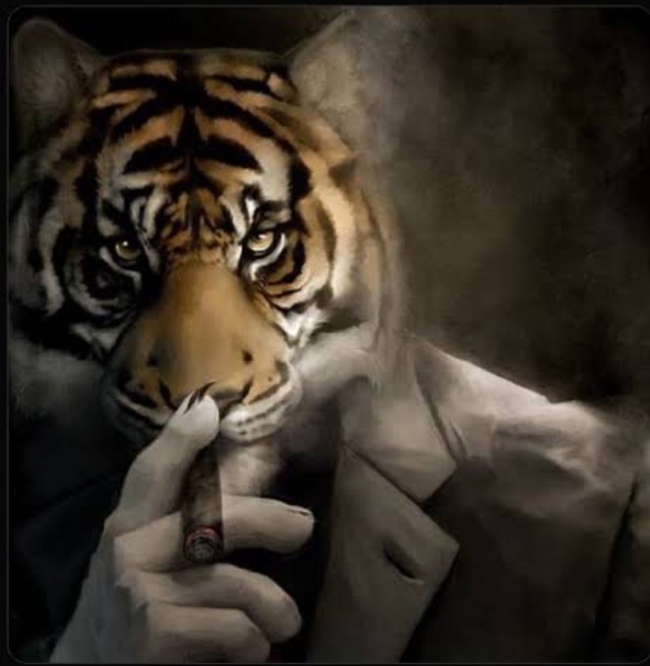IssDraco's tweet photo. @Whe_World music not loud enough im afraid https://t.co/vboCZ3mFEE