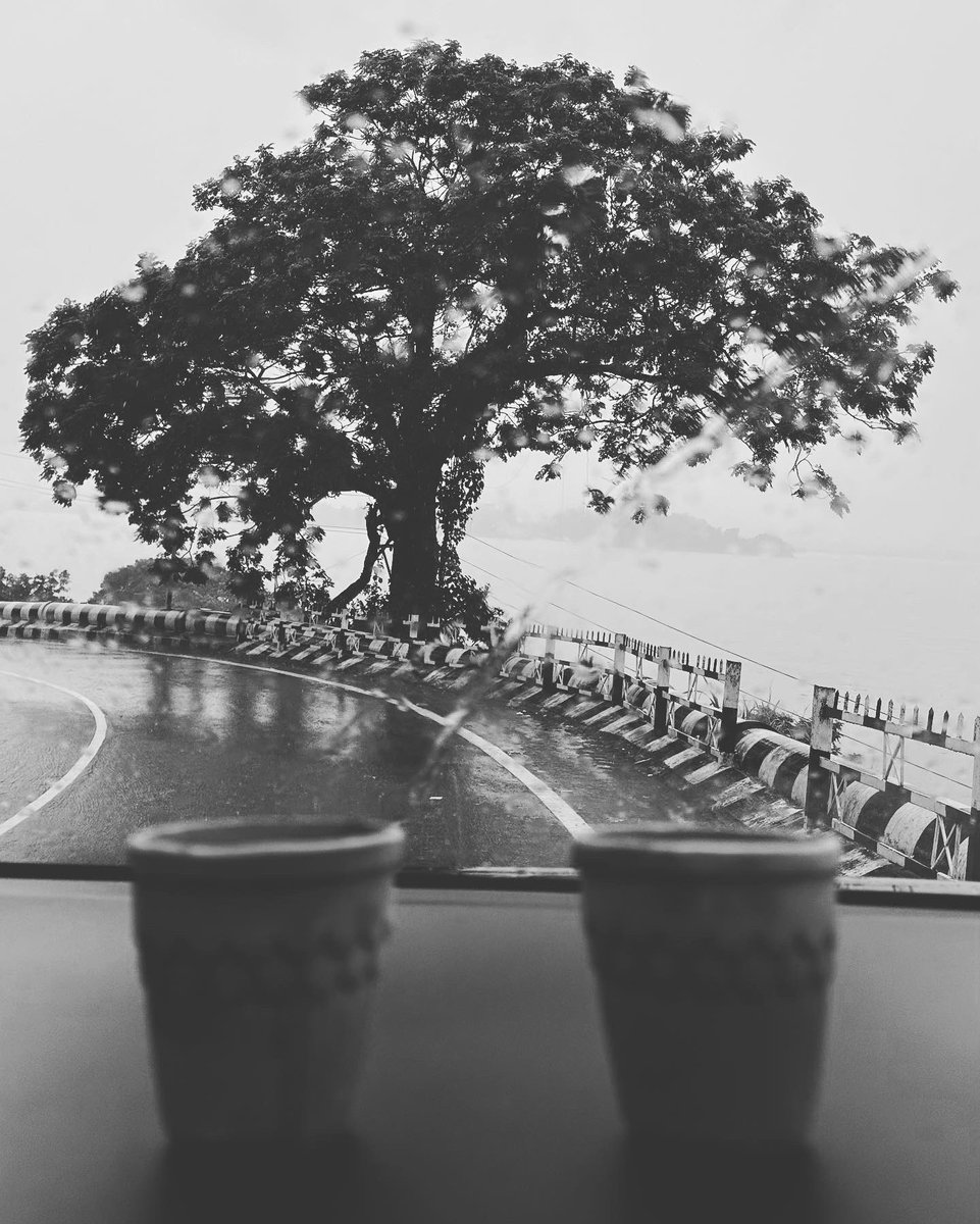 annaverma27's tweet photo. There is something outside for everybody, and we all have a connection with the earth. 
#rainydays
#mysticmornings
#sameframes
#sameframesdifferentcolors
#rainstories https://t.co/Wybl0eIC1Q