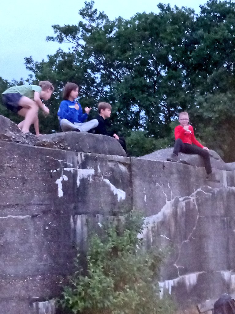 johandemolkw's tweet photo. Schitterende #excursie gehad van de natuurclub van @NatuurKatwijk
Samen met Jurre en nog 20 andere een late avondwandeling door #panbos om te eindigen bij de nacht vlinderaars met hun lichttoren, waar we als laatste weggingen #bioblitzkatwijk2023 @Flora_en_fauna #katwijk https://t.co/D1fqGVaRHb