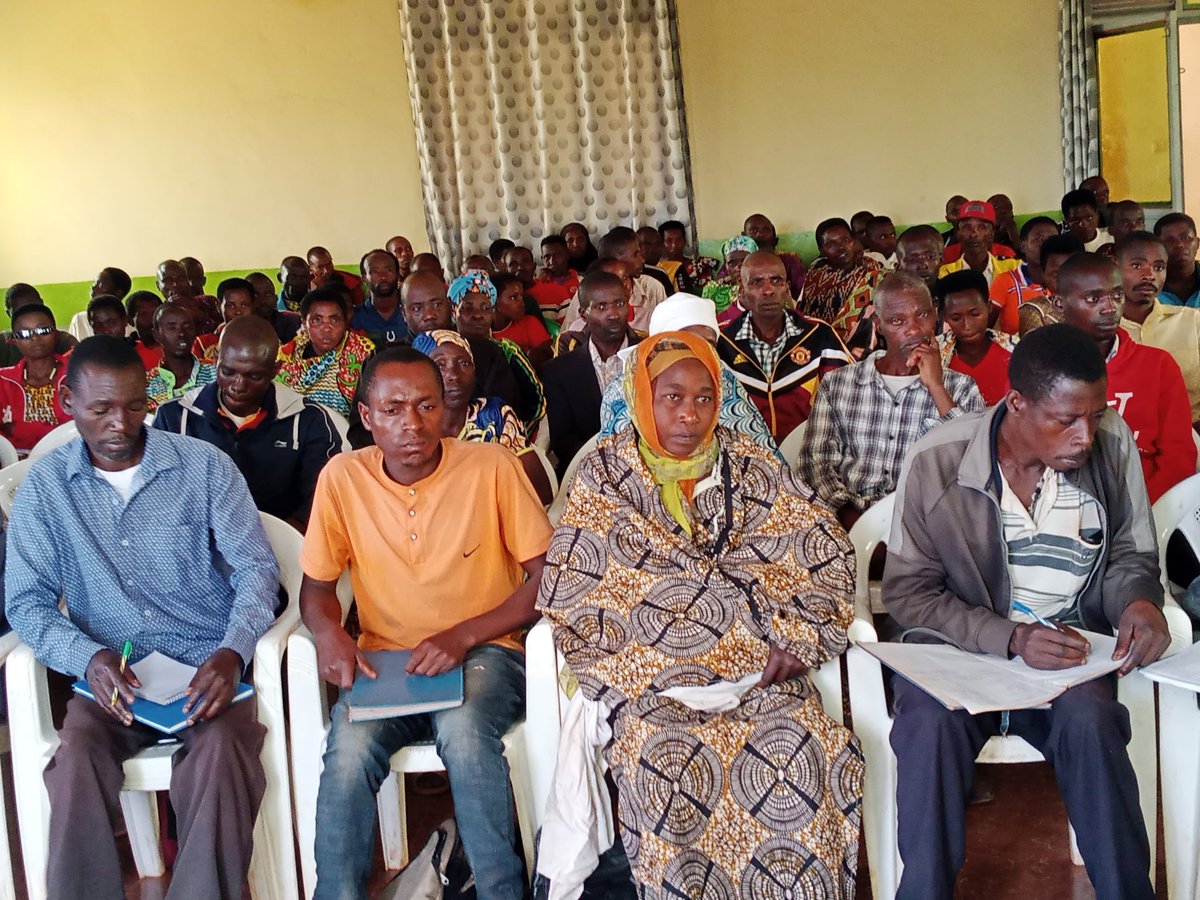 CommuneGASHIKA2's tweet photo. Hari kuwa 16.6.2023, Musitanteri @CommuneGASHIKA2 @NgoziProvince @NIYIBIZITheophile yaratunganij inama kundongozi zamakoperativ
 sangwe  barabiyehamwe ingen zifashe muvyerekeye ubutunzi abasaba gukomeza kurwiza umwimbu,kurima uturima twomuci nukworora inkwavu. 
@MininterInfosBi https://t.co/hi2UHeAy3r