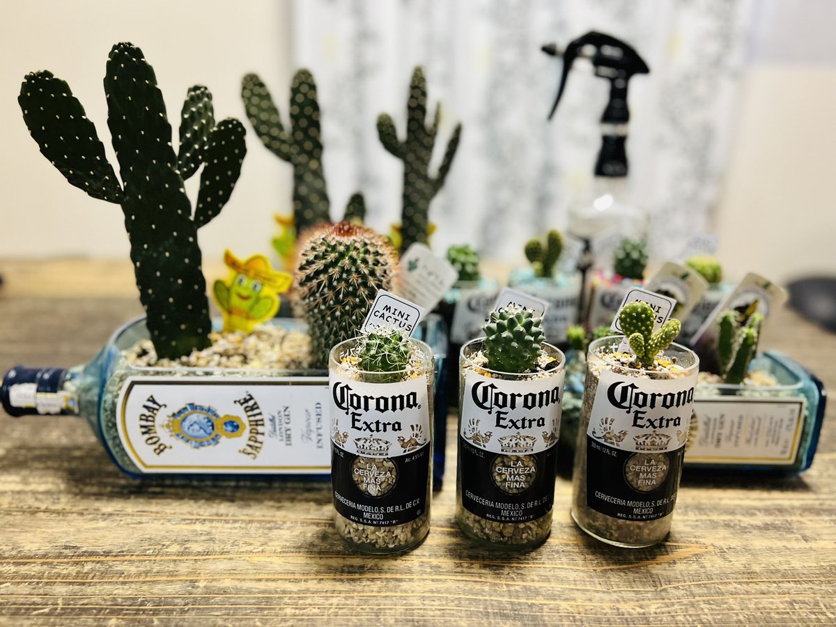 bosshoss1993's tweet image. 昨日、カットした
ボンベイボトルに
サボテン植えてみました🌵

自己満足😊

#ボンベイサファイア 
#bombaysapphire 
#coronabeer
#コロナビール
#サボテン
#cactus
#多肉植物