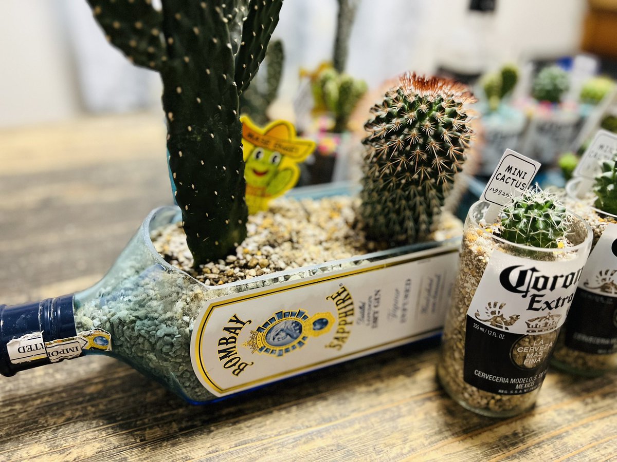 bosshoss1993's tweet image. 昨日、カットした
ボンベイボトルに
サボテン植えてみました🌵

自己満足😊

#ボンベイサファイア 
#bombaysapphire 
#coronabeer
#コロナビール
#サボテン
#cactus
#多肉植物