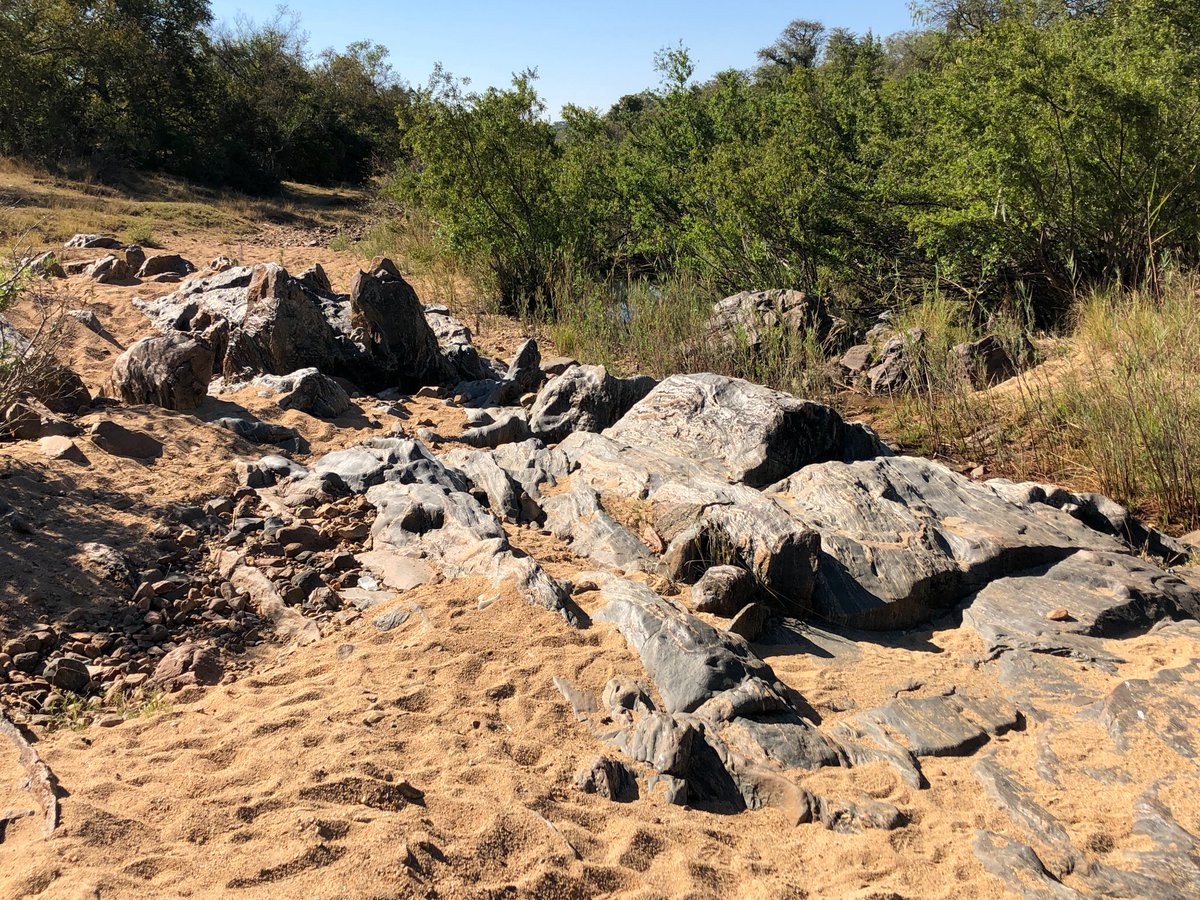 nick_j_gardiner's tweet photo. Finishing off a great 12 days fieldwork in beautiful Zimbabwe - TTGs + enigmatic greenstones; lithium pegmatites, both grassroots exploration &amp; mining; and v friendly people - looking forwards to the data! @EarthSciStA @lotofrocks #ArchaeanGeodynamics #CriticalMinerals #StAGElab https://t.co/3L0tId1a5X