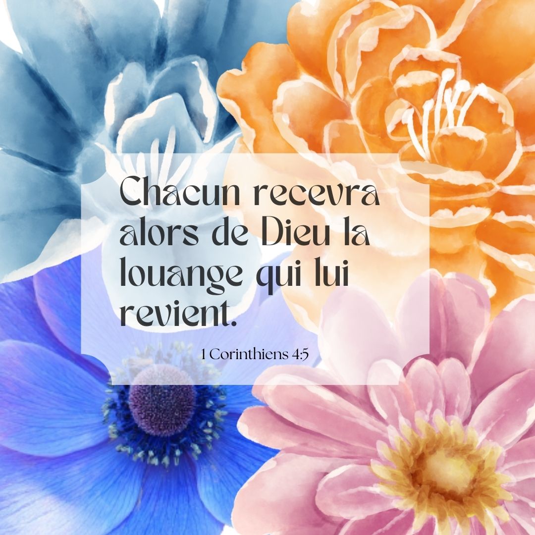la_Bible's tweet photo. "Ne portez donc aucun jugement avant le temps fixé, avant la venue du Seigneur qui mettra en lumière les secrets des ténèbres et qui rendra manifestes les décisions des cœurs. Alors chacun recevra de Dieu sa louange" 1 Co 4.5 https://t.co/zd08AZNygI