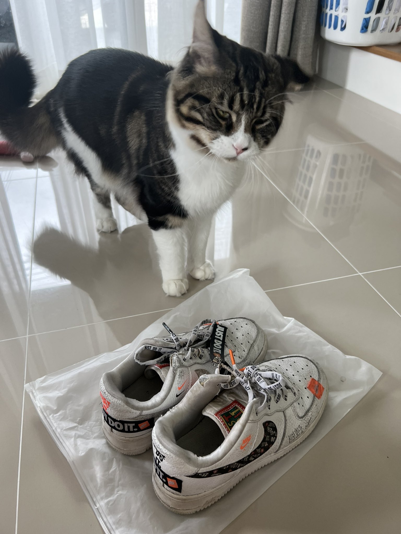 Am 18 best sale nike