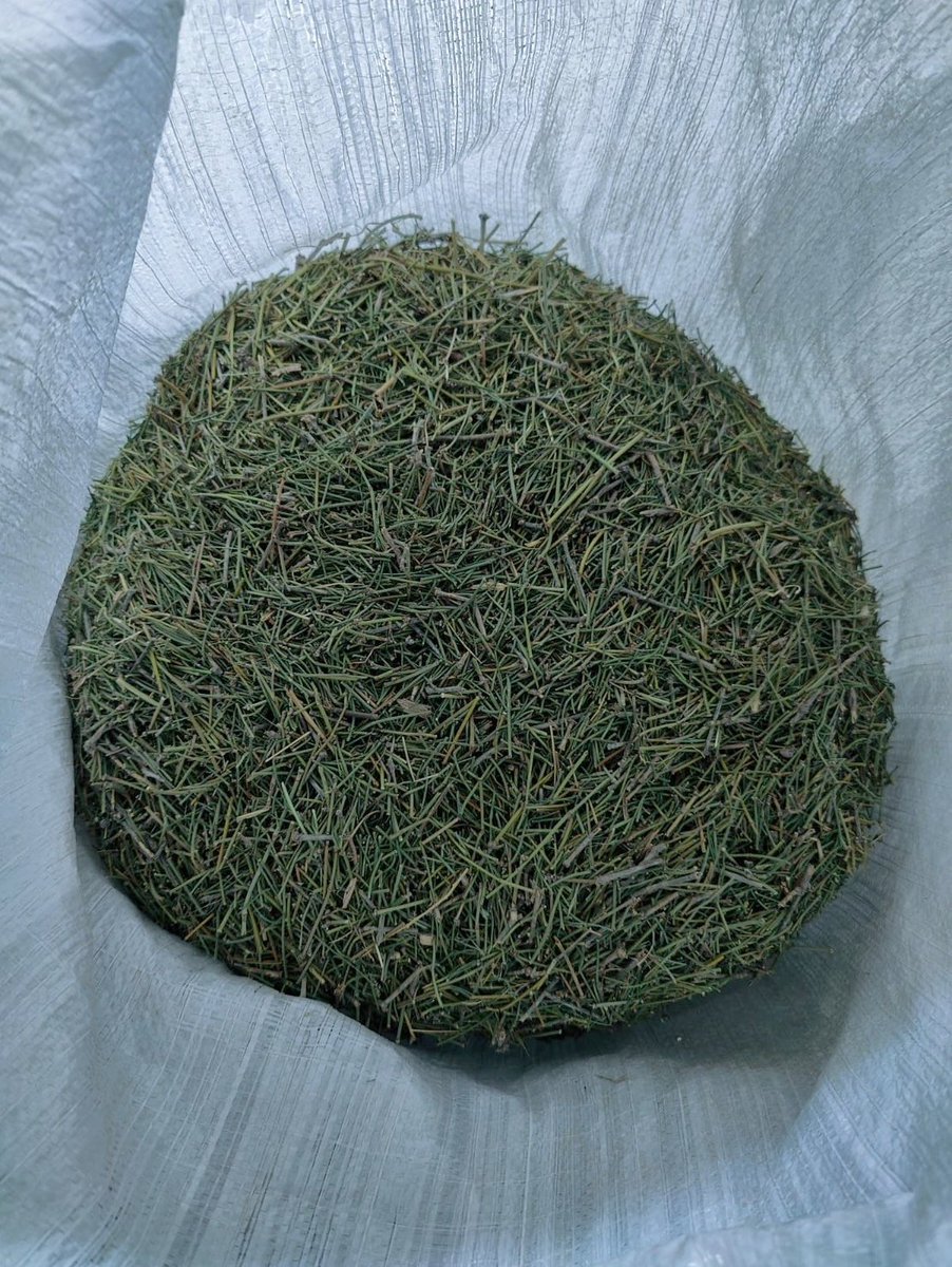 Dried Ephedra Herb is ready for shipment at Pakistan port!
#herbs #herbal #taiwan #chinesemedicine #Pakistan