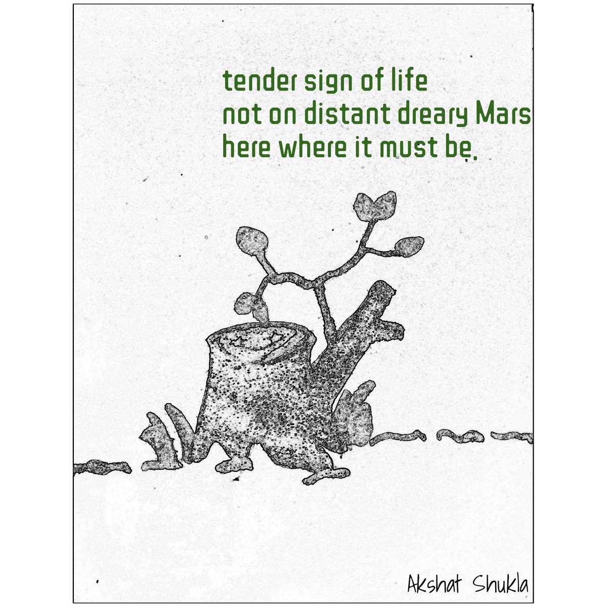 tender sign of life
not on distant dreary Mars
here where it must be.

#haiku
#haiga