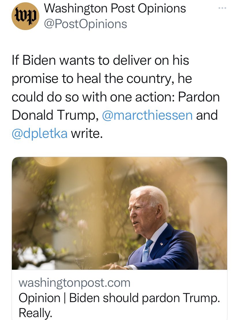 Here, I am speaking for myself. Although, I suspect what I am about to say, might actually be speaking for millions: 

If these folks see President Biden pardoning Donald Trump as the only act of “healing the divide of the nation” I say “Fuck that!! If that’s the case, then…