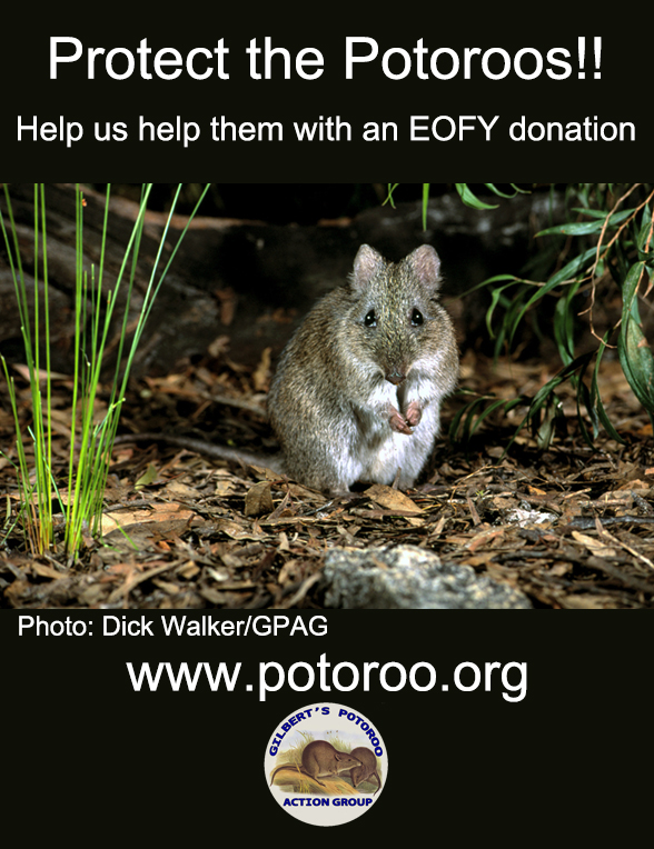 With #EOFY fast approaching we'd love your support to help us keep doing what we do (fundraising, awareness raising &amp; volunteering) to help save #GilbertsPotoroo. You can donate here potoroo.org (donations &gt;$2 are tax deductible) or join us at potoroo.org/join-us