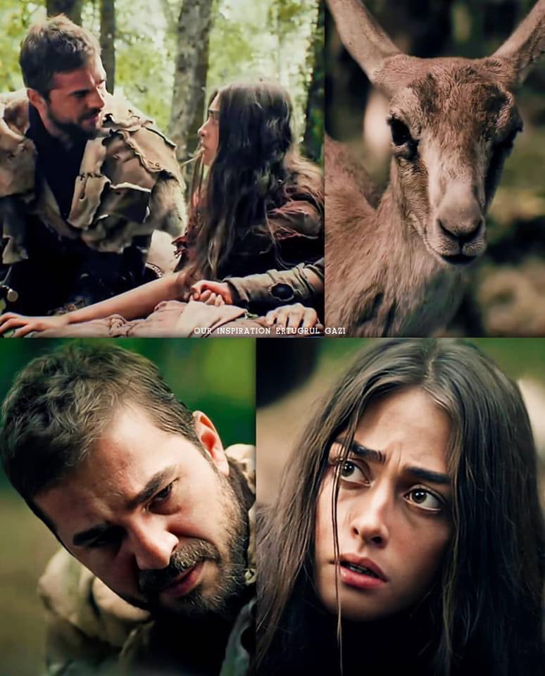 nadiakhan804's tweet photo. How it started 🤩♥️
#dirilişertuğrul #ertugrulbey #halimasultan https://t.co/40xvtGtVqk