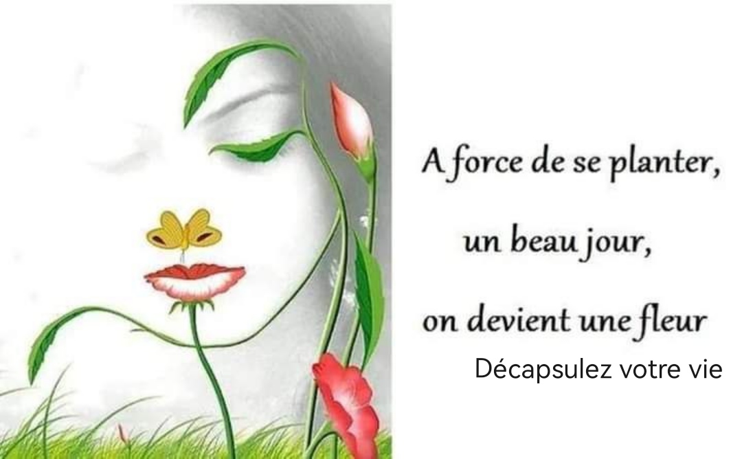 RubioStphanie3's tweet photo. #18-06-2023 : 🥀

👉 Nouvelle Lune en Gémeaux 🙏

https://t.co/wxMvgQHZuu

#pouvoir, #floraison, #nature, #music, #nouvellelune https://t.co/ATuBNbN3z0