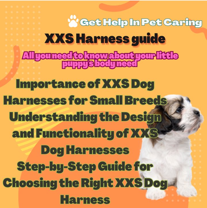 Learn about the key components, functionality, and various designs of harnesses for small Breeds, including step-by-step guides to measure your dog and choose the perfect harness. woofharnes.com/the-ultimate-g…
 #SmallDogLove #DogHarnesses #PetSafety #SmallDogBreeds #PetSafety