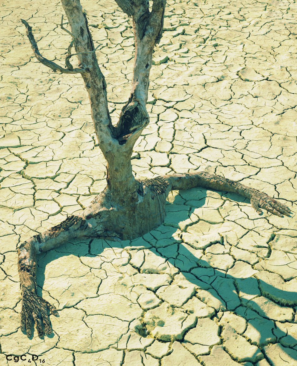 khorasani. tweet media