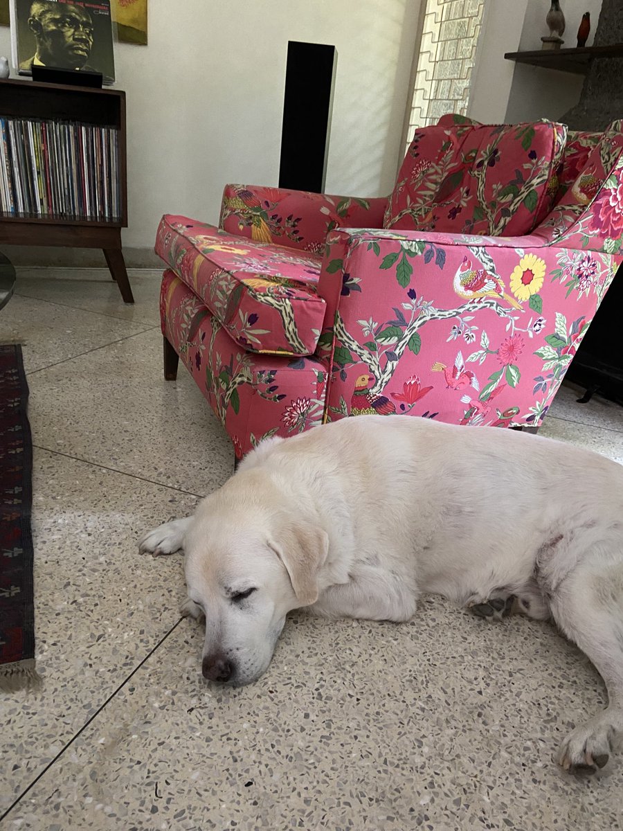 sukumar ranganathan tweet media