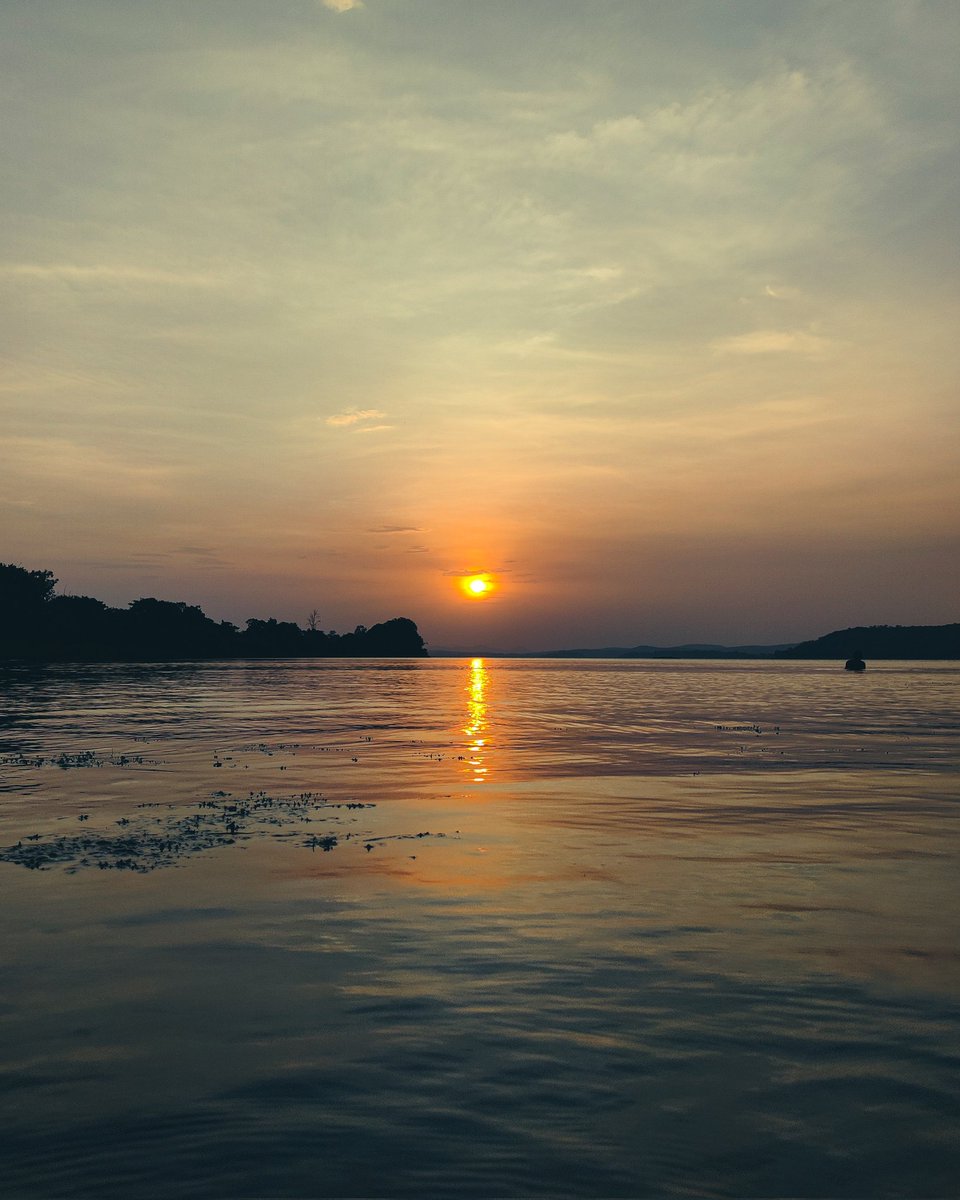Photocularbiol1's tweet photo. 📍Devi dwar.
Gayala Banka.
One of the beautiful place in Cuttack district situated on the river bank of Mahanadi. 

#Odish #Cuttack #devidwar #Photocularbiologist #Incredibleodisha https://t.co/G3hdeyqyIZ
