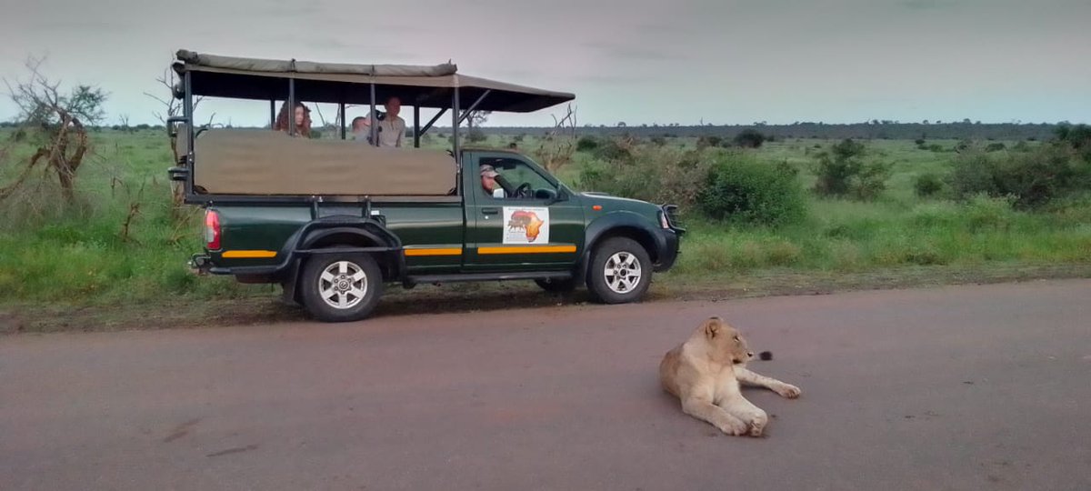 Gamedrives from Marloth Park to Kruger National Park
Bookings : +27 76 9219 320