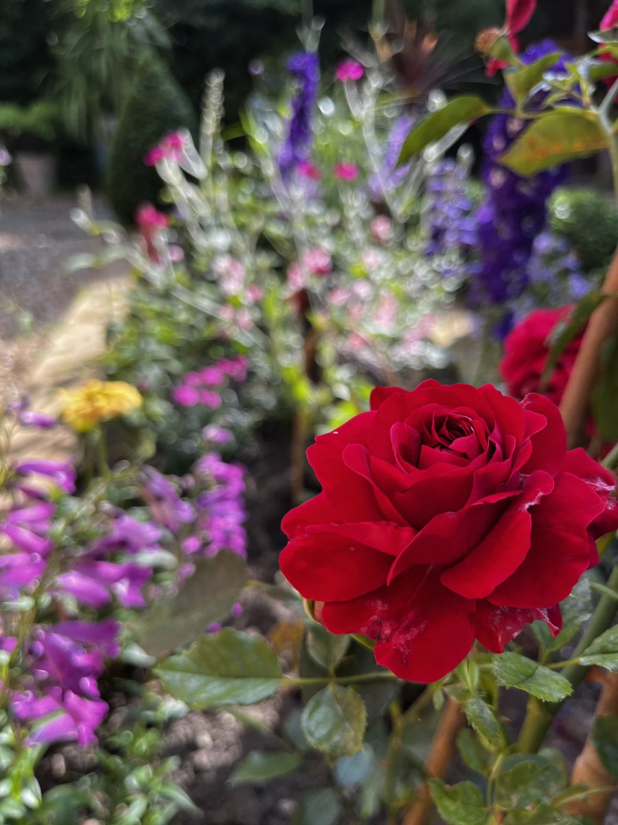 A day of sunshine and showers! 🌞🌧️☔️🌺😎