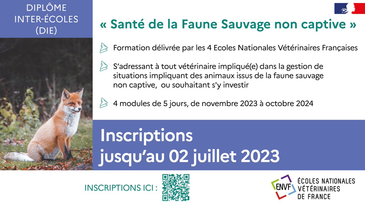 Env_Alfort's tweet photo. FORMATION PRO - Vétérinaires, développez vos compétences pour la prise en charge de la faune sauvage non captive ! Les #ENVF proposent un diplôme dédié à cette thématique.
Inscrivez-vous dès maintenant à la session 2023/2024.
👉 Infos : https://t.co/TOo95AlKoy https://t.co/RDP17zLjQ2