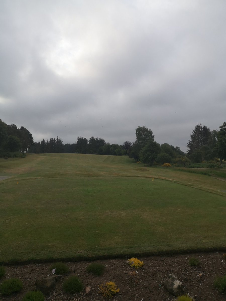Course Update 18rh June

Overcast start to the day, am sure 🌞 will be out later.

On Ayth today is a club Texas Scramble, everyone welcome.

Enjoy your day