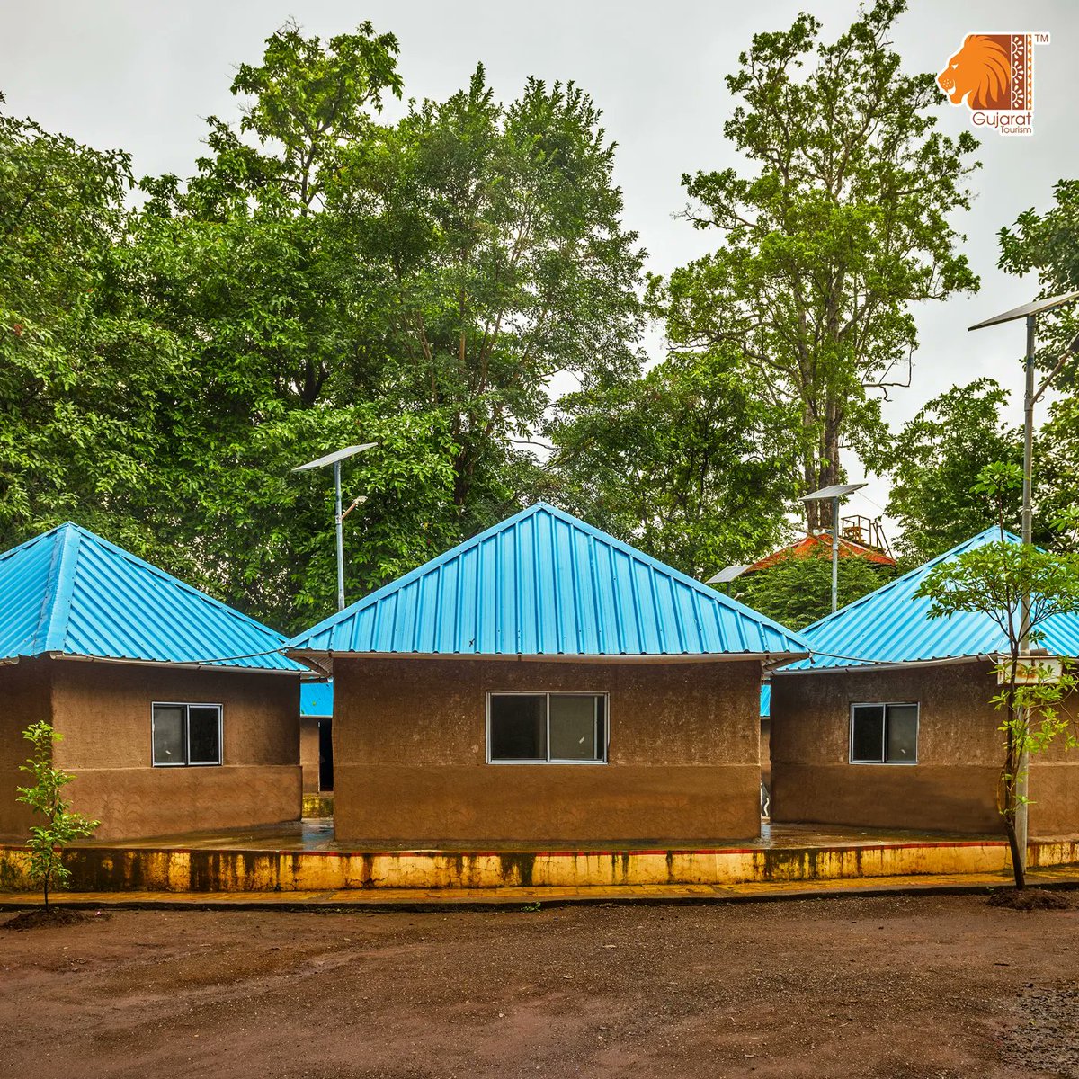 Mahal Dang Escape to the Mahal Eco Tourism Campsite, #Dang, nestled amidst ...