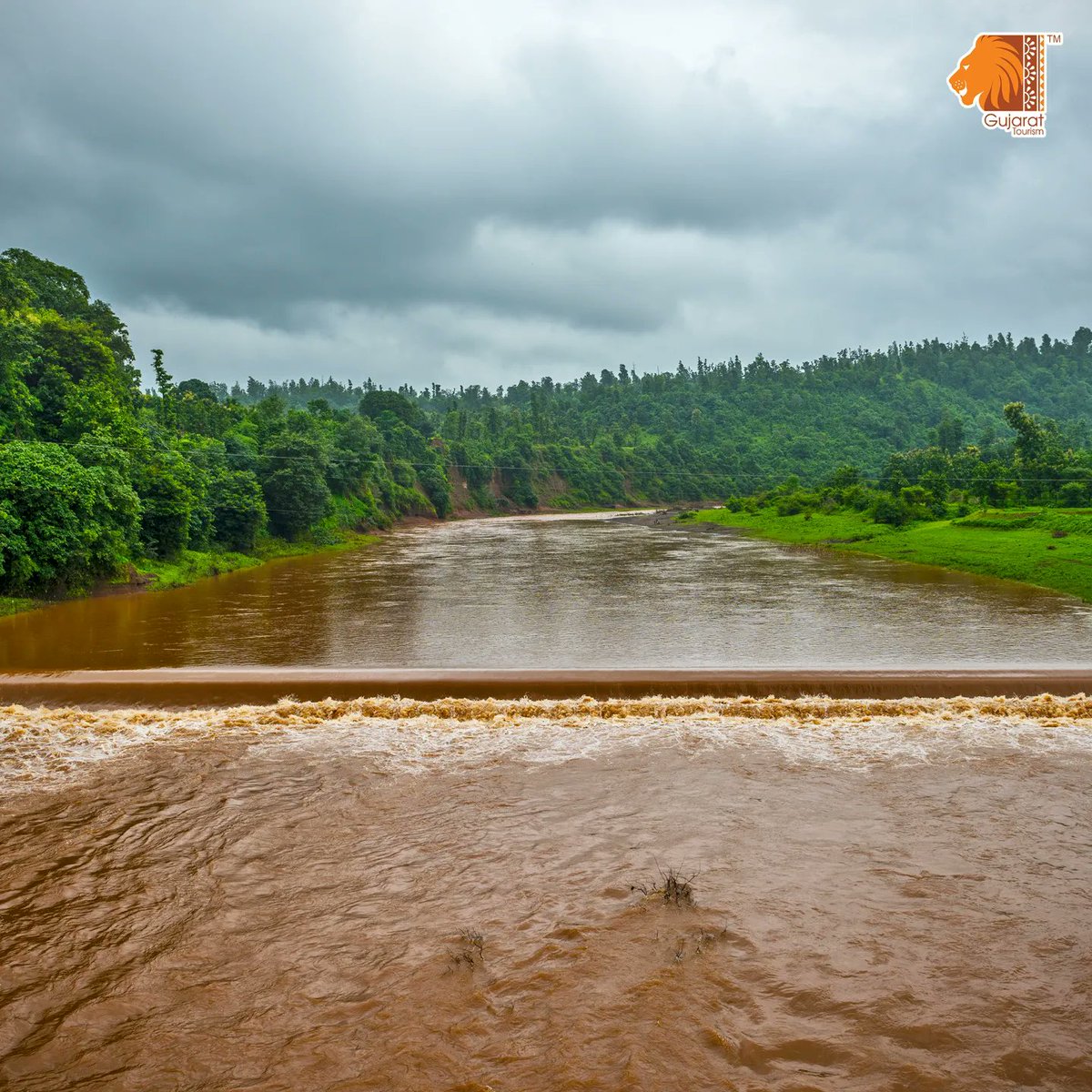 Escape to the Mahal Eco Tourism Campsite, #Dang, nestled amidst picturesque landscapes. Immerse yourself in the untouched beauty of #nature, and experience the essence of local culture & cuisine. 

#gujarattourism #gujarat #Monsoon2k23 #naturelovers #IncredibleIndia #ecotourism