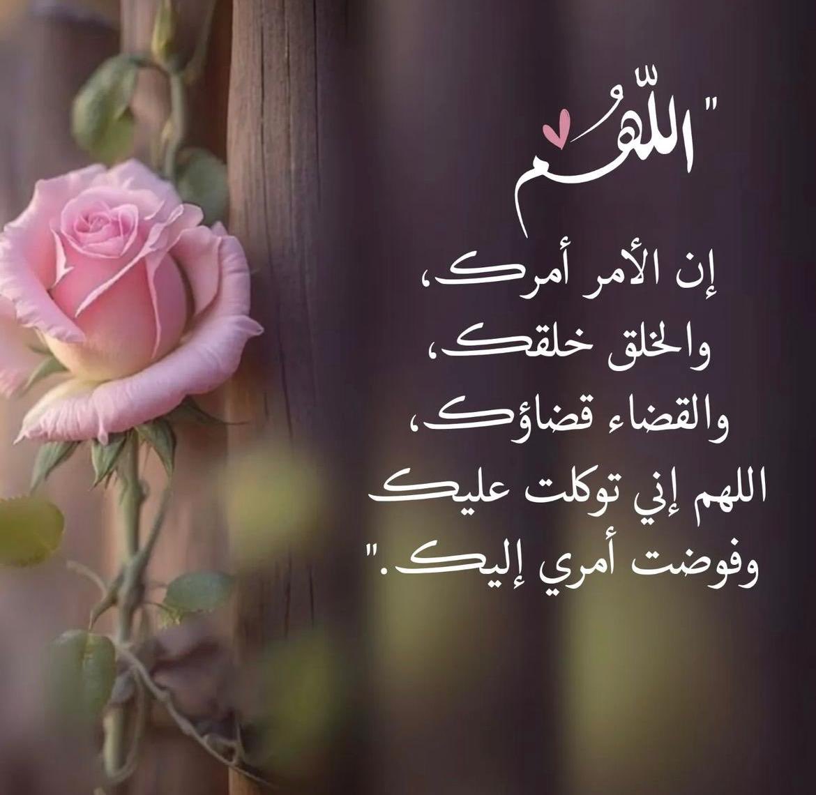 Al Jazzia 🇰🇼 (@aljazzy06789418) on Twitter photo 