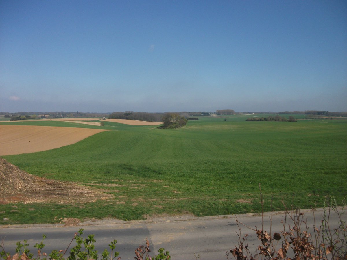 CharlesEsdaile's tweet photo. Waterloo 1: the view east from La Belle Alliance and Rossomme; from neither place is it possible to see even the Bois de Paris, let alone anywhere further on towards Wavre - to repeat, then, Napoleon could not possibly have seen the advance of the Prussians at 1300. https://t.co/4LEM6poRbK