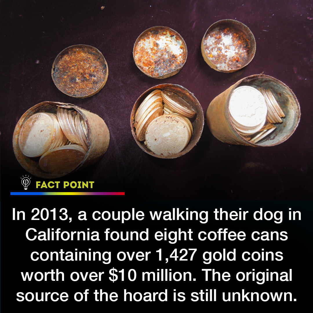 FactPoint's tweet photo. In 2013, an incredible discovery took place in California when a couple, while walking their dog, stumbled upon a treasure trove. They uncovered eight coffee cans filled with a staggering collection of over 1,427 gold coins, which were estimated to be worth an astonishing $10 million. The intriguing aspect of this find is that the true origin of this hoard remains a mystery, leaving enthusiasts and historians fascinated. #CaliforniaTreasureFind #HiddenWealthUnearthed #PricelessGoldCoins #UnsolvedTreasureMystery #DogWalkersLuck #EnigmaticTreasureHoard