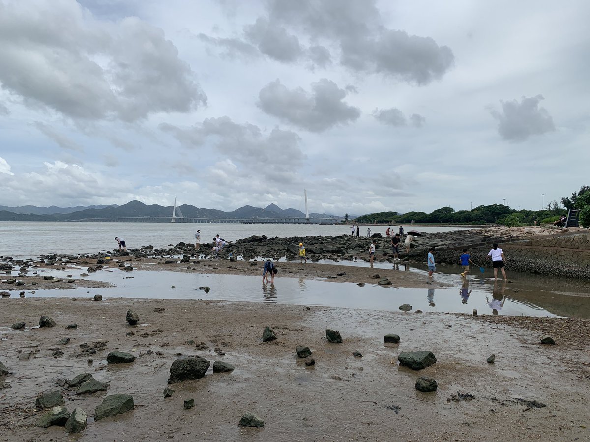 Nature is the best playground for Children to kill time freely. #Shenzhen #Happyweek