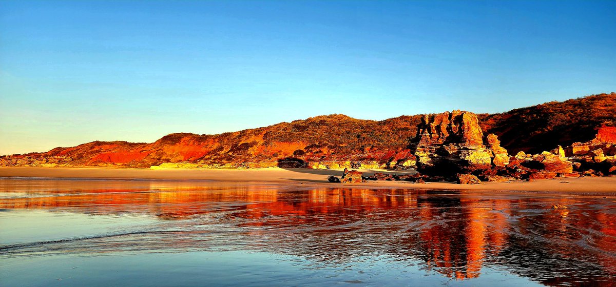 Steven Djordjevic tweet media