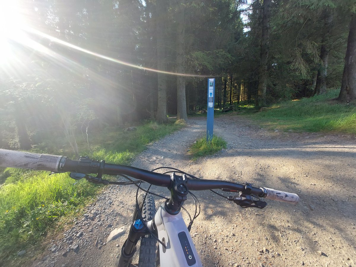 Happy fatha's day to you all. 

Get your butts out of bed and onto the trails.😋

Early morning blast around Glentress before heading home.  #more #ukmtbchat