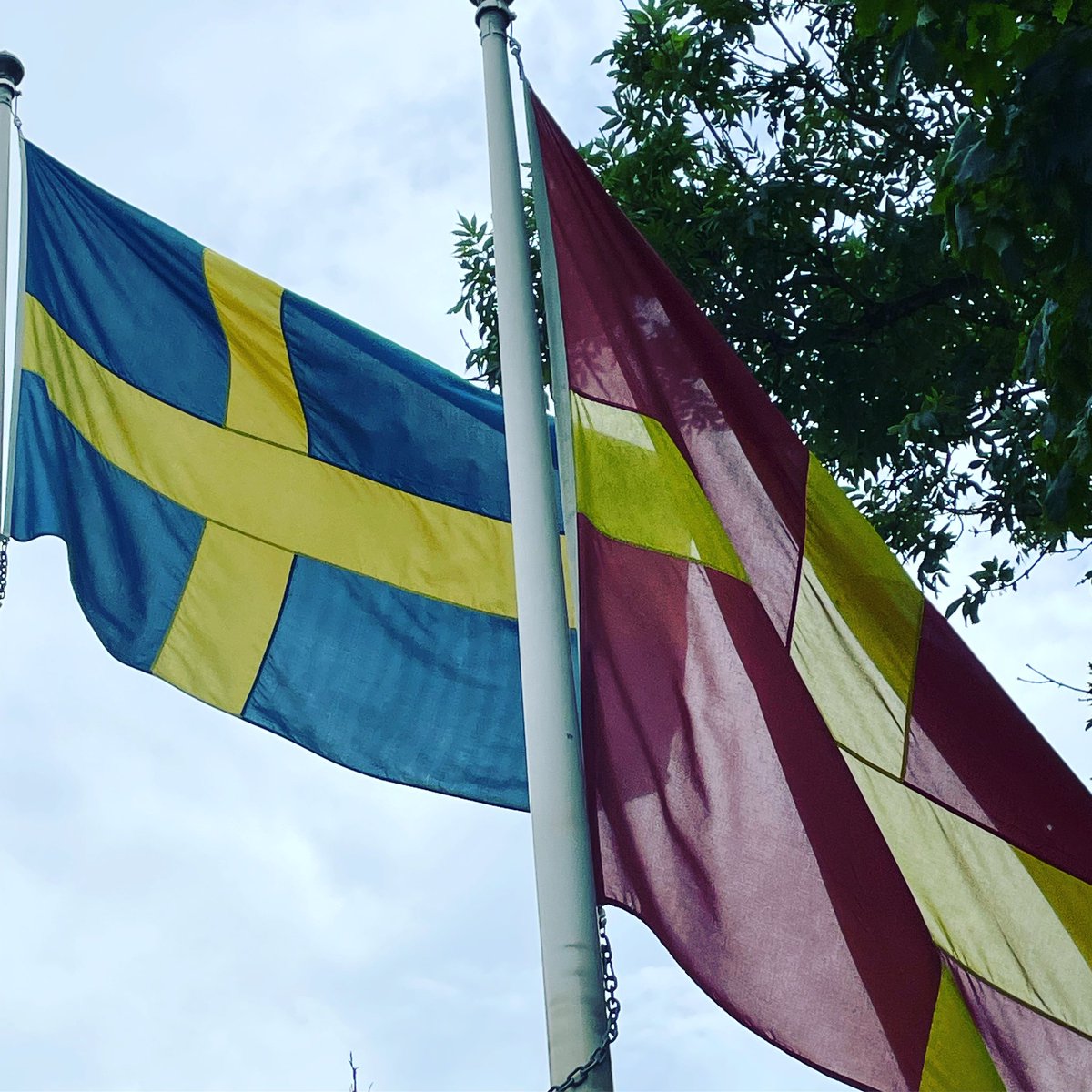 Godmorgon från Skåne! Stor dag idag när vi bildar distrikt i länet. 

På mötet väljs en distriktsstyrelse av engagerade medlemmar – människor med mod och ryggrad att vara offentliga med sitt engagemang för Sverige! 

👏🏻 

Läs mer: 
alternativforsverige.se/alternativ-for…