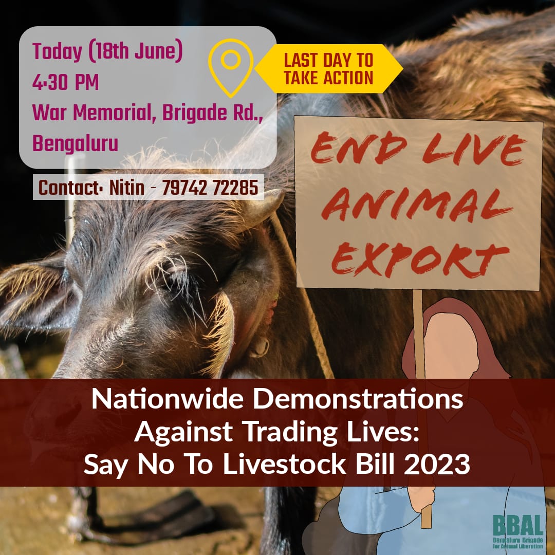 #URGENT #Bangalore NATIONWIDE PROTEST AGAINST LIVE ANIMAL EXPORT Bill*

We are joining nationwide protest today 18th June 4.30Pm at War Memorial, Brigade Rd., Bengaluru

Contact. Nitin - 79742 72285

Join us!
#saynotolivestockbill2023 #indiaunitesforanimalrights 
@GoVeganwithBBAL