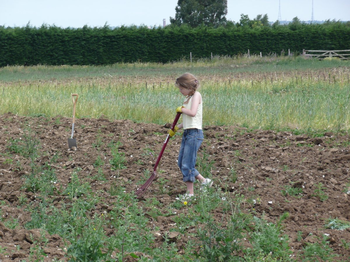 Doug Shaw . Artist. Illustrator. Consultant. tweet media