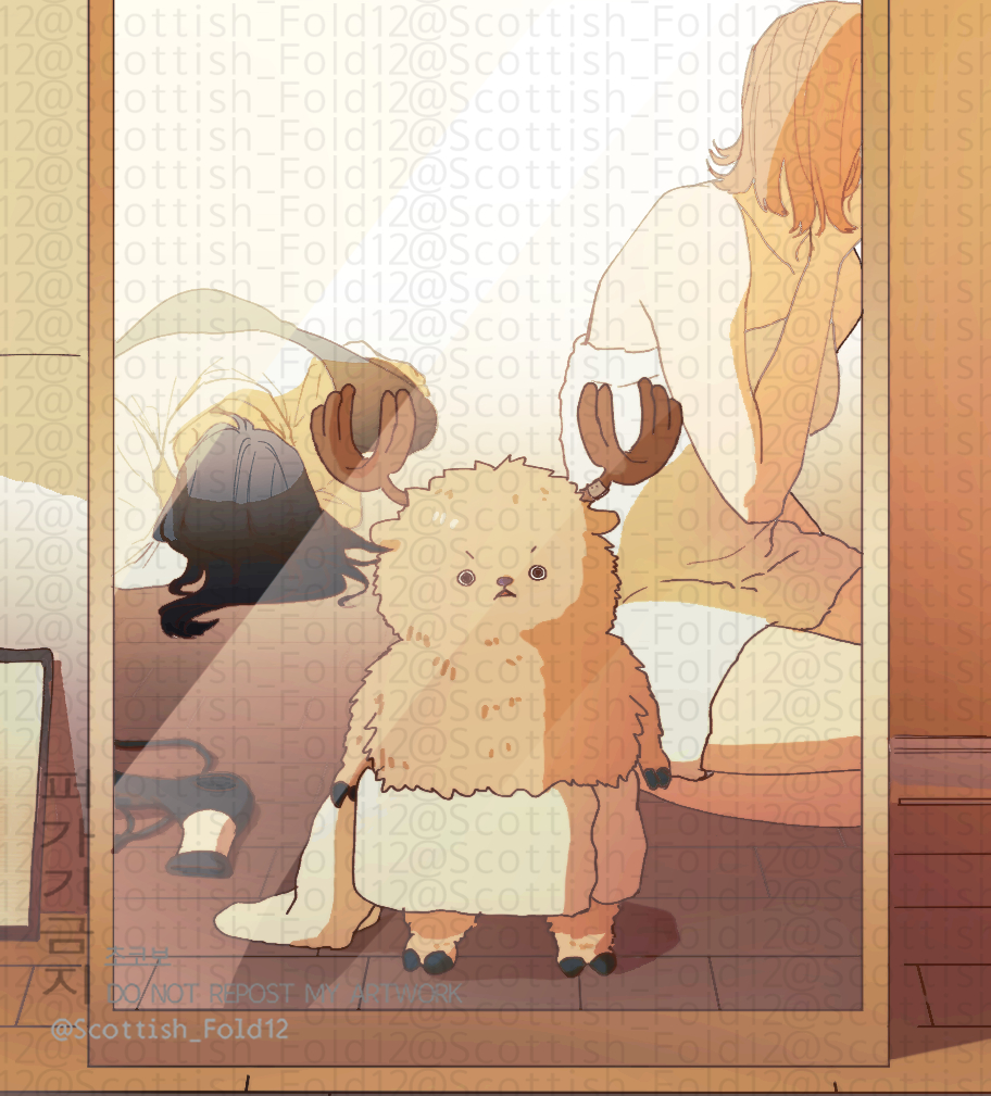 초코보🐤 tweet media