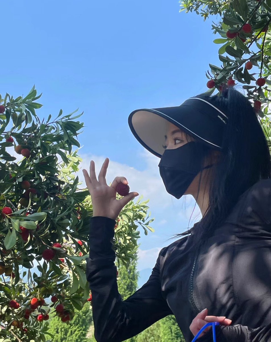 Bayberry🥰
来自浙江临海的东魁杨梅，大家觉得如何？😆 https://t.co/VXwTIilIk2