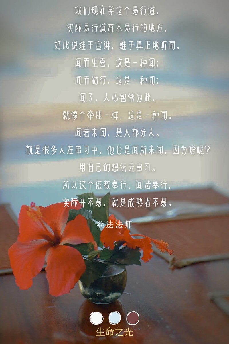 菩提眼｜慈法法师开示 (@bodhi_eye) on Twitter photo 