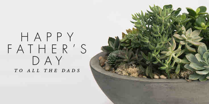 Happy Father’s Day everyone! It’s cloudy and we’re open, so stop in and pick up something nice to brighten up someone’s day! #dadsday #plantshopping #lakelandplantworld