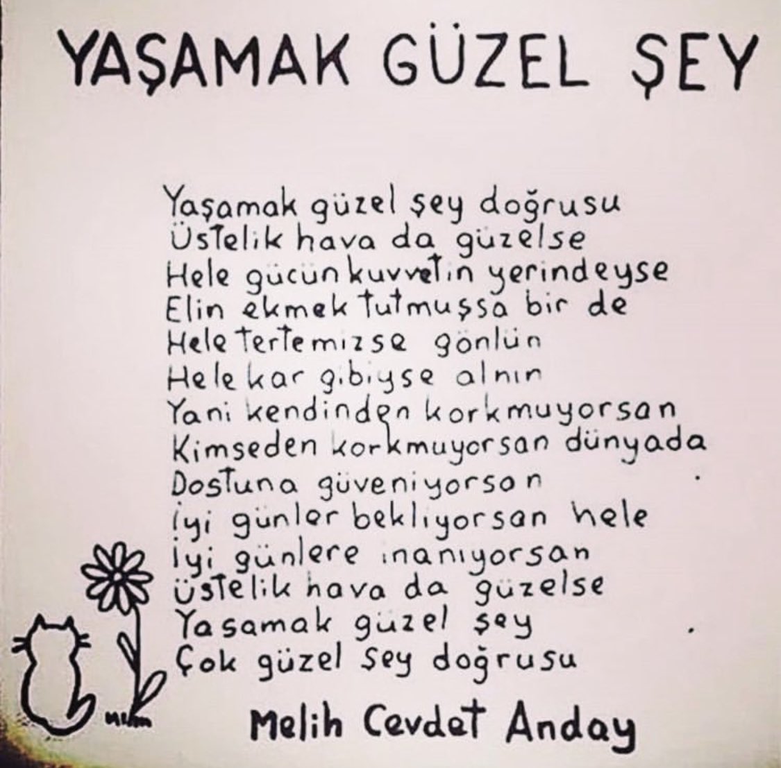 KDemirkafa's tweet photo. https://t.co/L11c3eTtOz