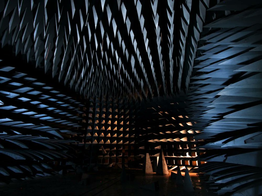 Rainmaker1973's tweet image. This is Earth's quietest place: inside the room it’s so silent that the background noise measured is actually negative decibels and you can actually hear your own heartbeat and your bones moving 

[read more: ow.ly/PWd330mKHGr]