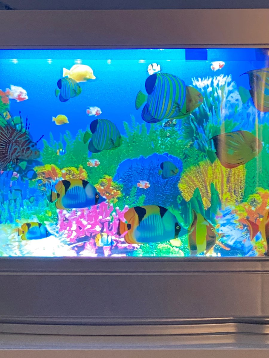 🐠🐟🪸🐡🪨
〰️