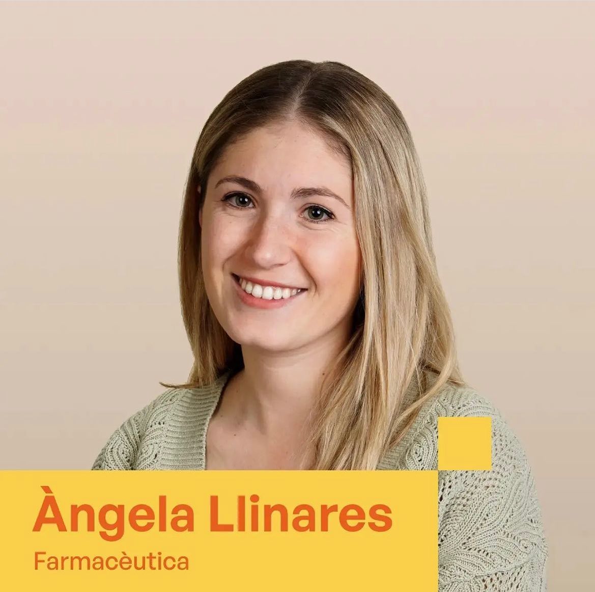 Compromís Tavernes | Anomage Gnoma 🧙‍♂️,🧙‍♂️ tweet media