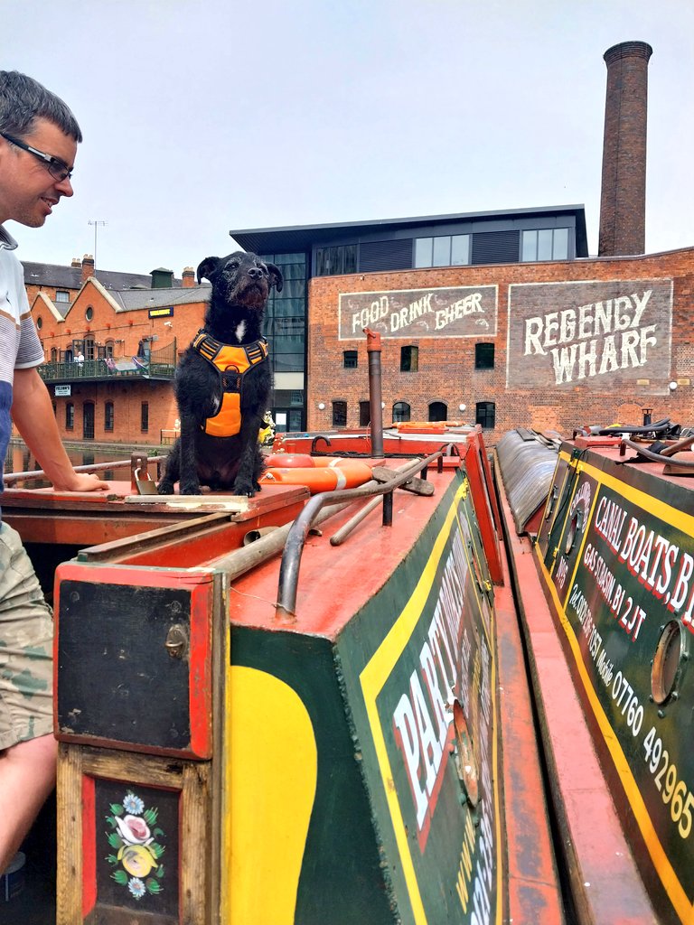 Heloing dad prepare for boating! #boatsthattweet #dogsoftwitter