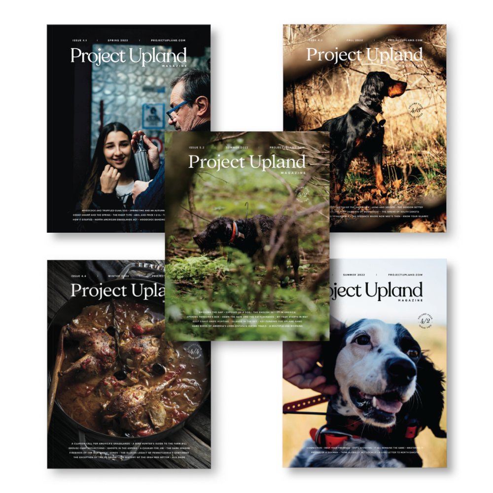 Project_Upland's tweet image. One Day Only - Get 4 Issues FREE (Only Available in Print) - mailchi.mp/56e38266b24e/o…