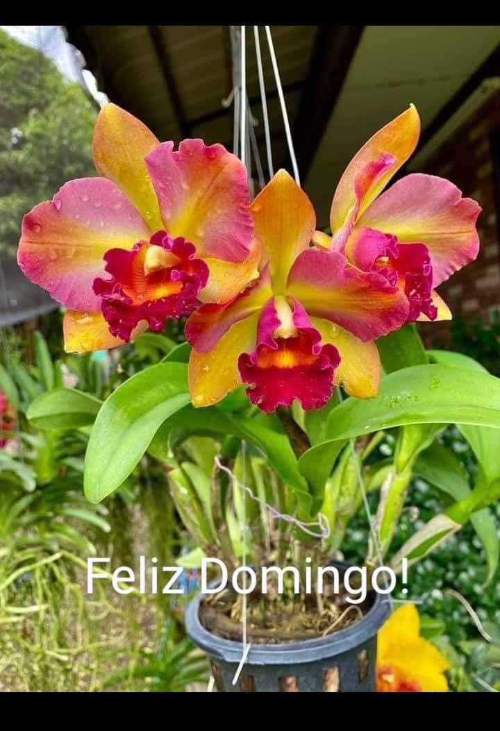 Dete sousa (@lindete3) on Twitter photo 